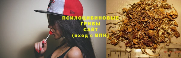 твердый Арсеньев