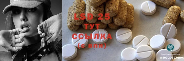 ПСИЛОЦИБИНОВЫЕ ГРИБЫ Аркадак