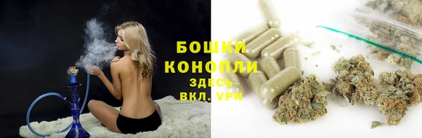 ПСИЛОЦИБИНОВЫЕ ГРИБЫ Аркадак