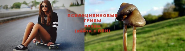 твердый Арсеньев