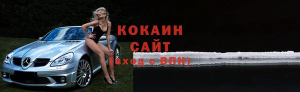 твердый Арсеньев