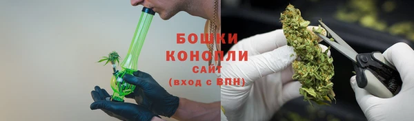 ПСИЛОЦИБИНОВЫЕ ГРИБЫ Аркадак