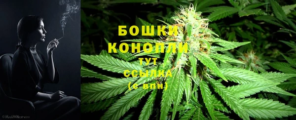 твердый Арсеньев