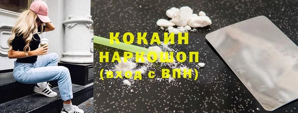 твердый Арсеньев