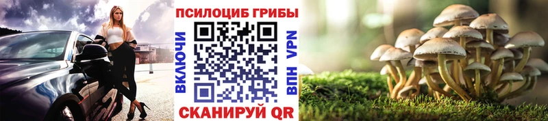 Галлюциногенные грибы мицелий Купить где Волоколамск